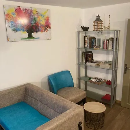 Plein Pied 45 M2 Apartment Baccarat